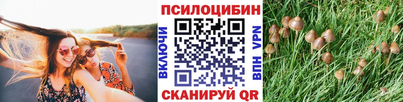 Псилоцибиновые грибы Psilocybine cubensis  кракен ССЫЛКА  Почеп  магазин продажи  